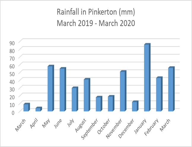 rainfall for 2019